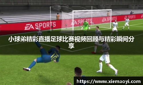 芒果体育官网