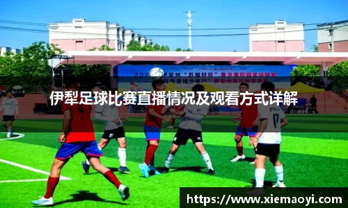 芒果体育官网