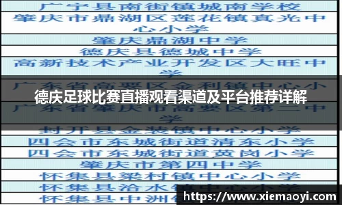 德庆足球比赛直播观看渠道及平台推荐详解
