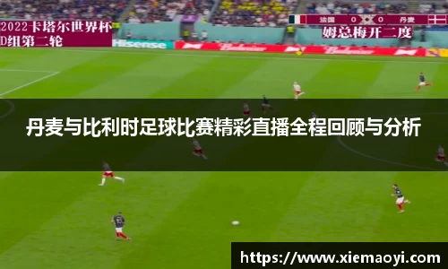 丹麦与比利时足球比赛精彩直播全程回顾与分析