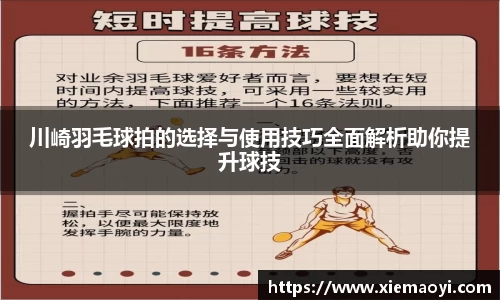 川崎羽毛球拍的选择与使用技巧全面解析助你提升球技