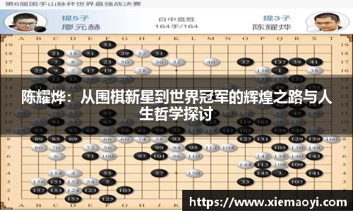 陈耀烨：从围棋新星到世界冠军的辉煌之路与人生哲学探讨