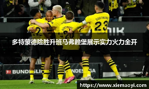 多特蒙德险胜升班马弗赖堡展示实力火力全开